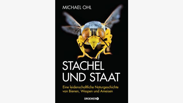 Michael Ohl: Stachel und Staat