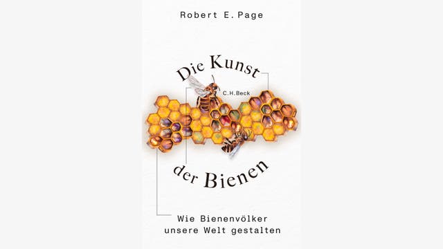 Robert E. Page: Die Kunst der Bienen