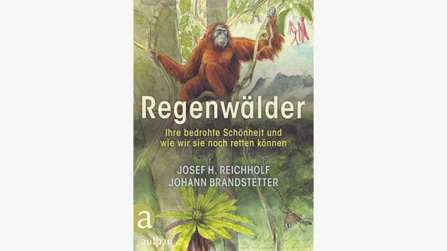 Josef H. Reichholf: Regenwälder