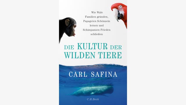 Carl Safina: Die Kultur der wilden Tiere