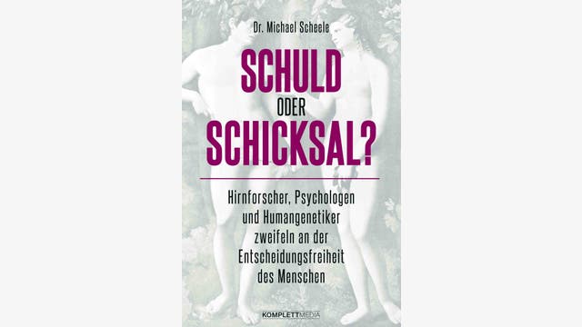 Michael Scheele: Schuld oder Schicksal?