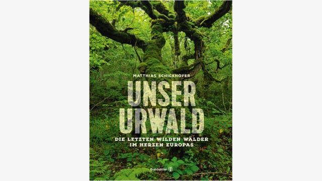 Matthias Schickhofer: Unser Urwald