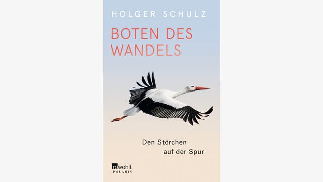 Holger Schulz: Boten des Wandels