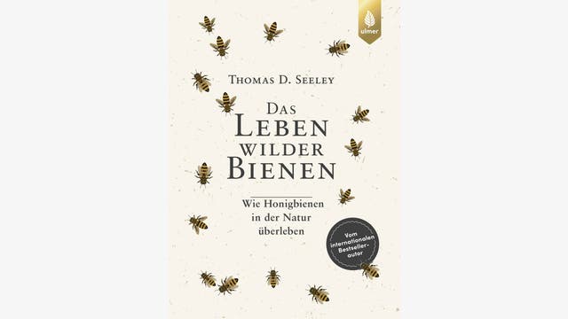 Thomas D. Seeley: Das Leben wilder Bienen 