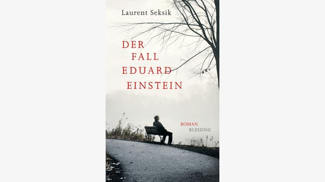 Laurent Seksik: Der Fall Eduard Einstein