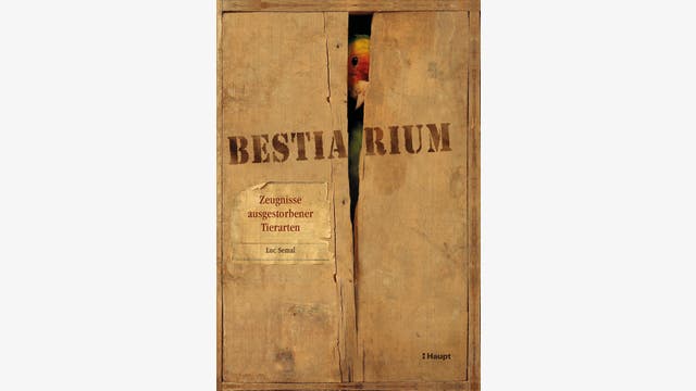 Luc Semal: Bestiarium