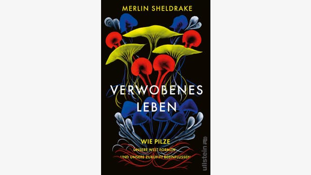 Merlin Sheldrake: Verwobenes Leben