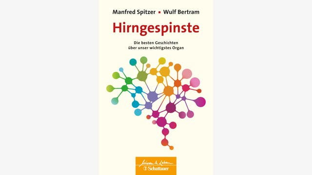 Manfred Spitzer, Wulf Bertram: Hirngespinste