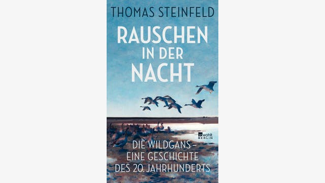 Thomas Steinfeld: Rauschen in der Nacht