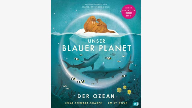 Leisa Stewart-Sharpe: Unser Blauer Planet - Der Ozean