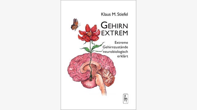 Klaus M. Stiefel: Gehirn extrem