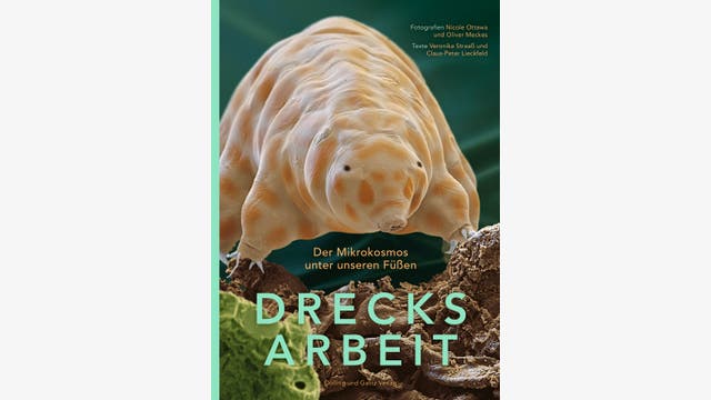 Veronika Straaß, Claus-Peter Lieckfeld: Drecksarbeit
