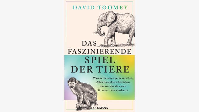 David Toomey: Das faszinierende Spiel der Tiere