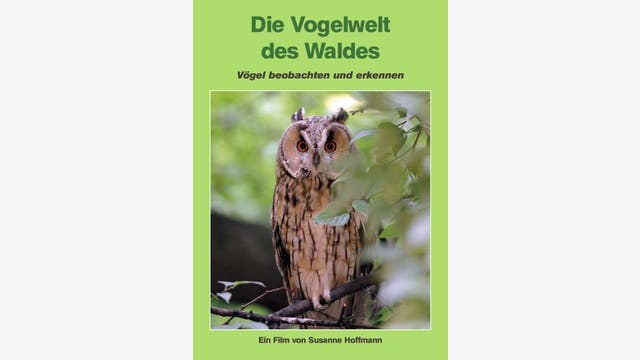 Susanne Hoffmann: Die Vogelwelt des Waldes
