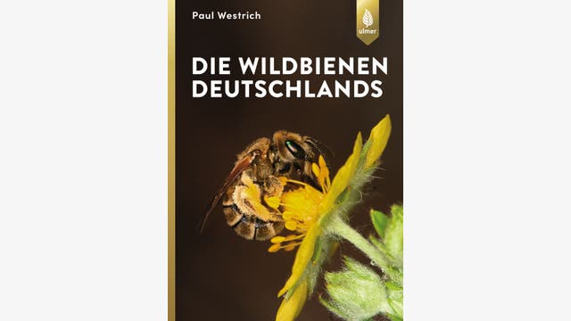 Paul Westrich: Die Wildbienen Deutschlands
