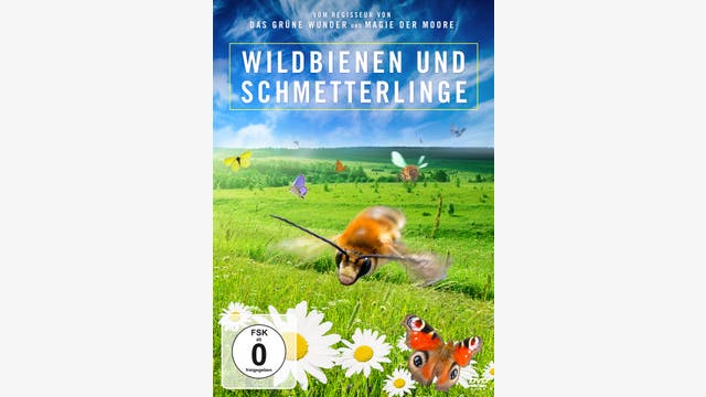 Jan Haft: Wildbienen und Schmetterlinge