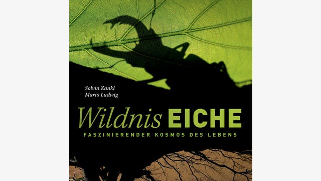 Solvin Zankl, Mario Ludwig: Wildnis Eiche
