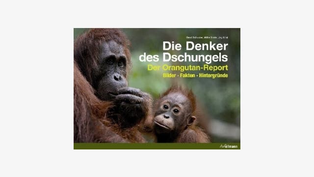 Gerd Schuster, Willie Smits, Jay Ullal: Die Denker des Dschungels