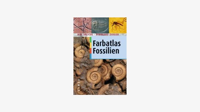 Max Urlichs und Bernhard Ziegler: Farbatlas Fossilien 