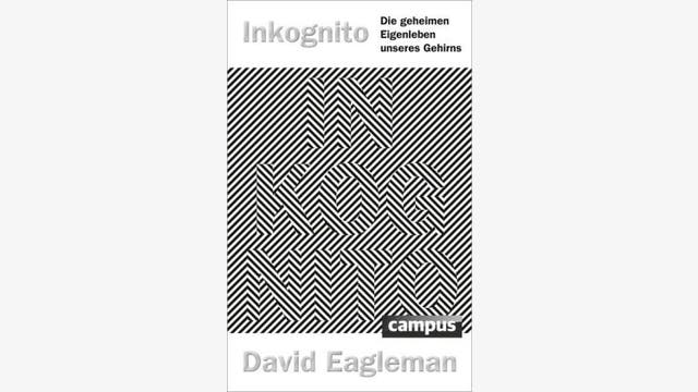 David Eagleman  : Inkognito