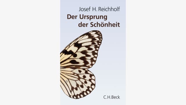 Josef H. Reichholf: Der Ursprung der Schönheit