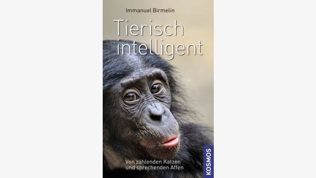 Immanuel Birmelin: Tierisch intelligent