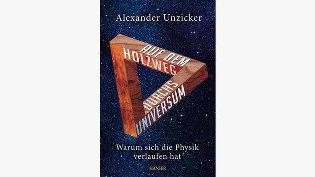 Alexander Unzicker: Auf dem Holzweg durch das Universum 
