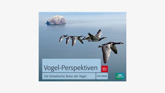 John Downer: Vogel-Perspektiven