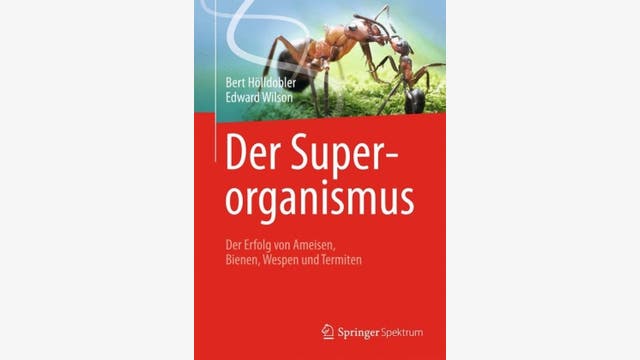 Bert Hölldobler und  Edward O. Wilson: Der Superorganismus