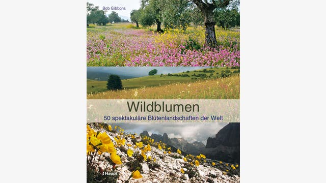 Bob Gibbons: Wildblumen