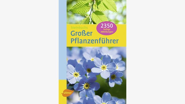 Thomas Schauer (Text) und Claus Caspari (Farbzeichnungen)    Bruno P. Kremer: Der BLV-Pflanzenführer für unterwegs    Steinbachs Großer Pflanzenführer