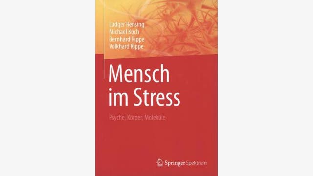 Ludger Rensing, Michael Koch, Bernhard Rippe, Volkhard Rippe: Mensch im Stress  