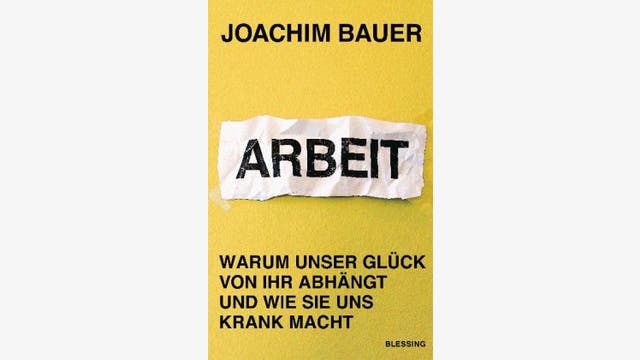 Joachim Bauer: Arbeit