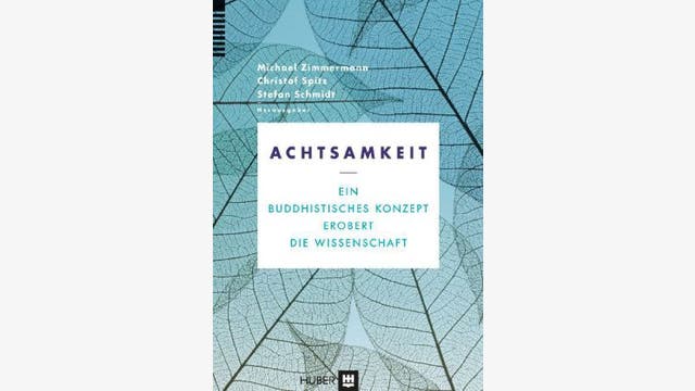 Michael Zimmermann, Christof Spitz und Stefan Schmidt (Hg.): Achtsamkeit