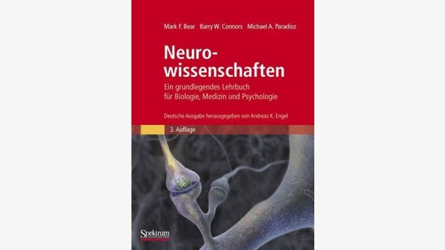 Mark F. Bear, Barry W. Connors, Michael A. Paradiso (Autor), Andreas Engel (Herausgeber): Neurowissenschaften