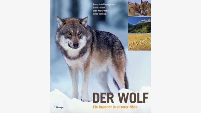 Hansjakob Baumgartner, Sandra Gloor, Jean-Marc Weber, Peter A. Dettling: Der Wolf