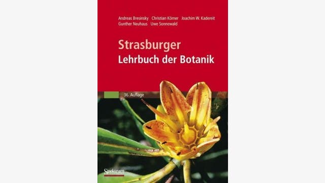 Andreas Bresinsky et al.: Strasburger