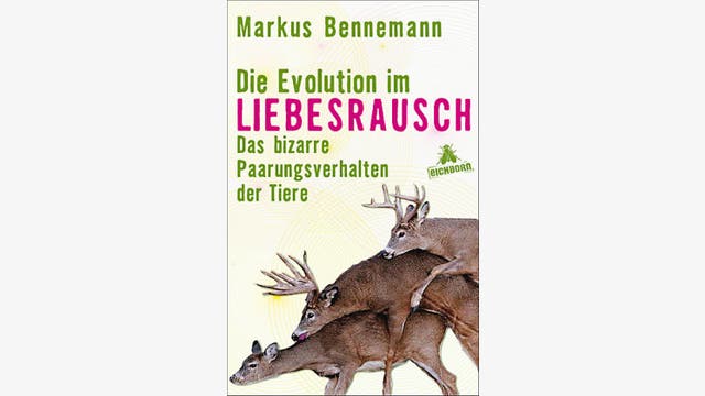 Tobias Niemann    Markus Bennemann: Kamasutra Kopfüber    Die Evolution im Liebesrausch