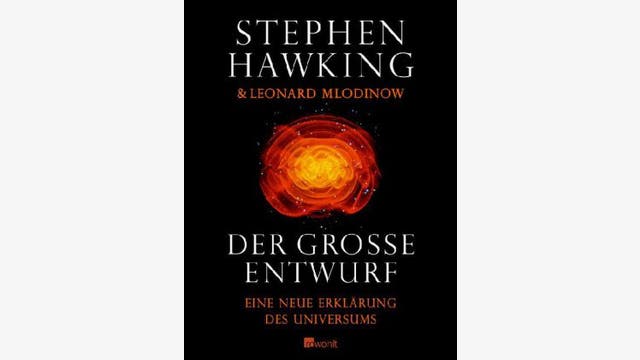 Stephen Hawking und Leonard Mlodinow: Der große Entwurf