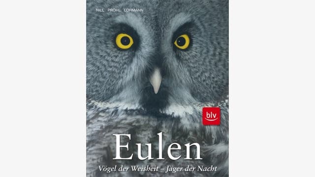 Dietmar Nill, Torsten Pröhl, Michael Lohmann: Eulen