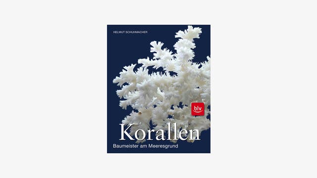 Helmut Schuhmacher: Korallen. Baumeister am Meeresgrund