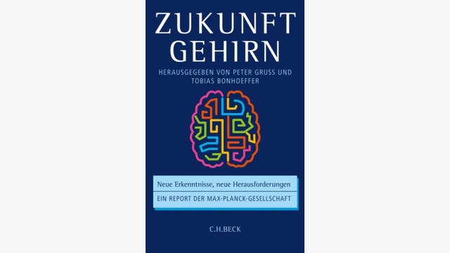 Tobias Bonhoeffer, Peter Gruss (Hg.)  : Zukunft Gehirn