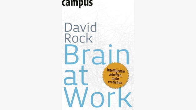 David Rock: Brain at work