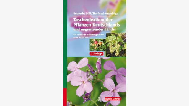 Ruprecht Düll und Herfried Kutzelnigg: Taschenlexikon der Pflanzen Deutschlands