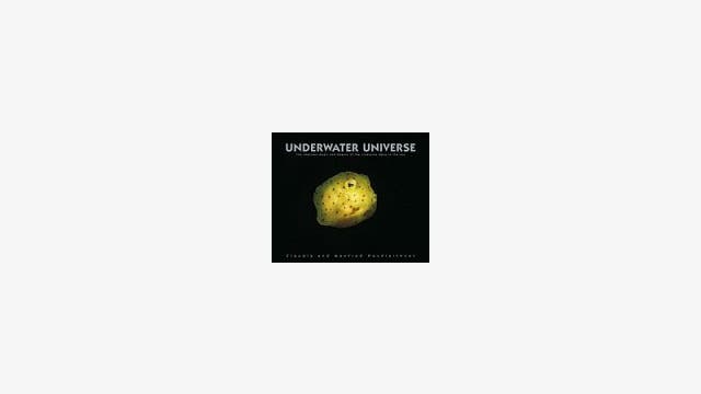 Claudia und Manfred Hochleithner: Underwater Universe