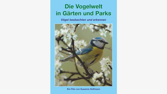 Susanne Hoffmann: Die Vogelwelt in Gärten und Parks