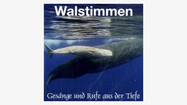 Wolfgang Tins: Walstimmen - Gesänge und Rufe aus der Tiefe