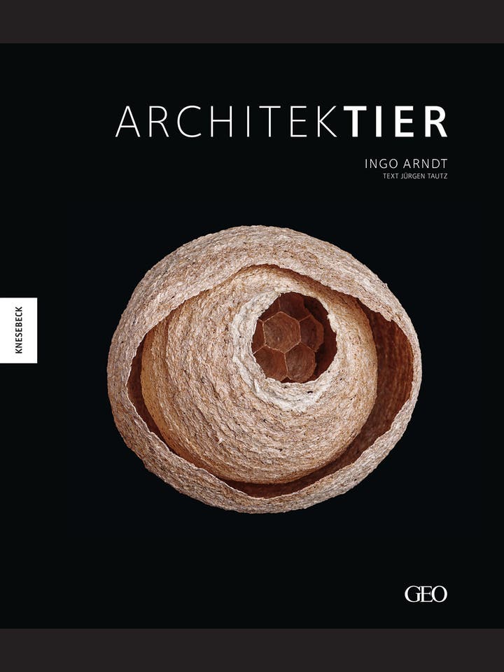 Ingo Arndt: Architektier