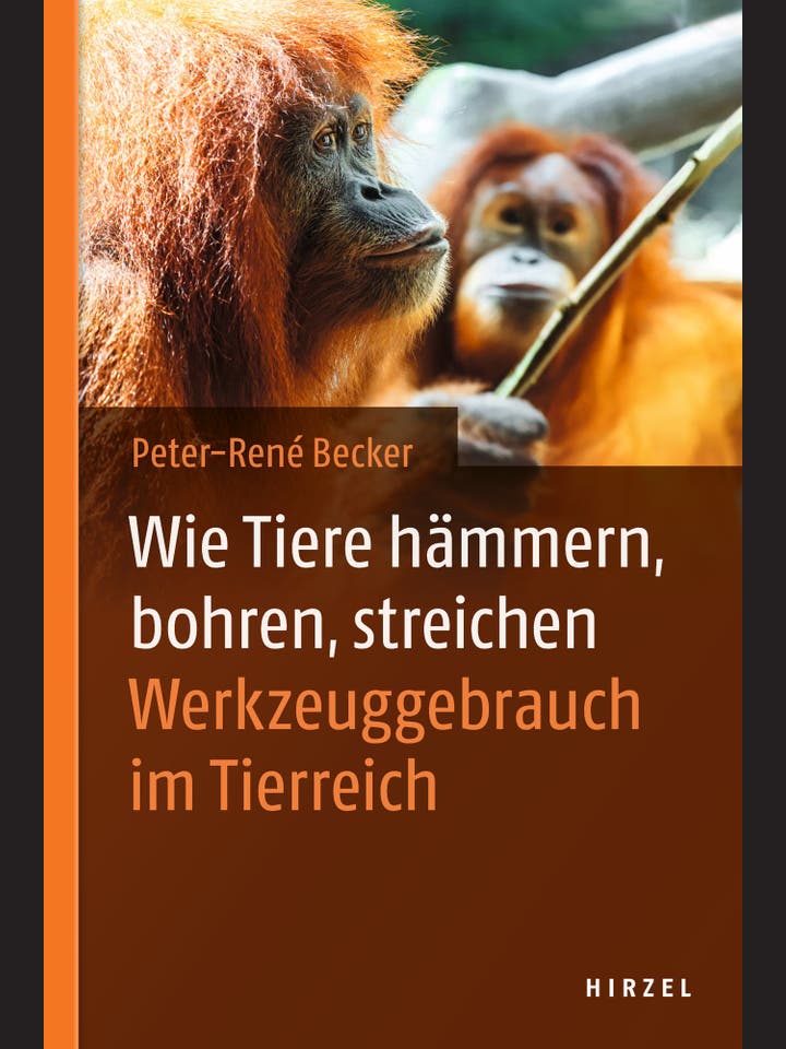 Peter-René Becker: Wie Tiere hämmern, bohren, streichen