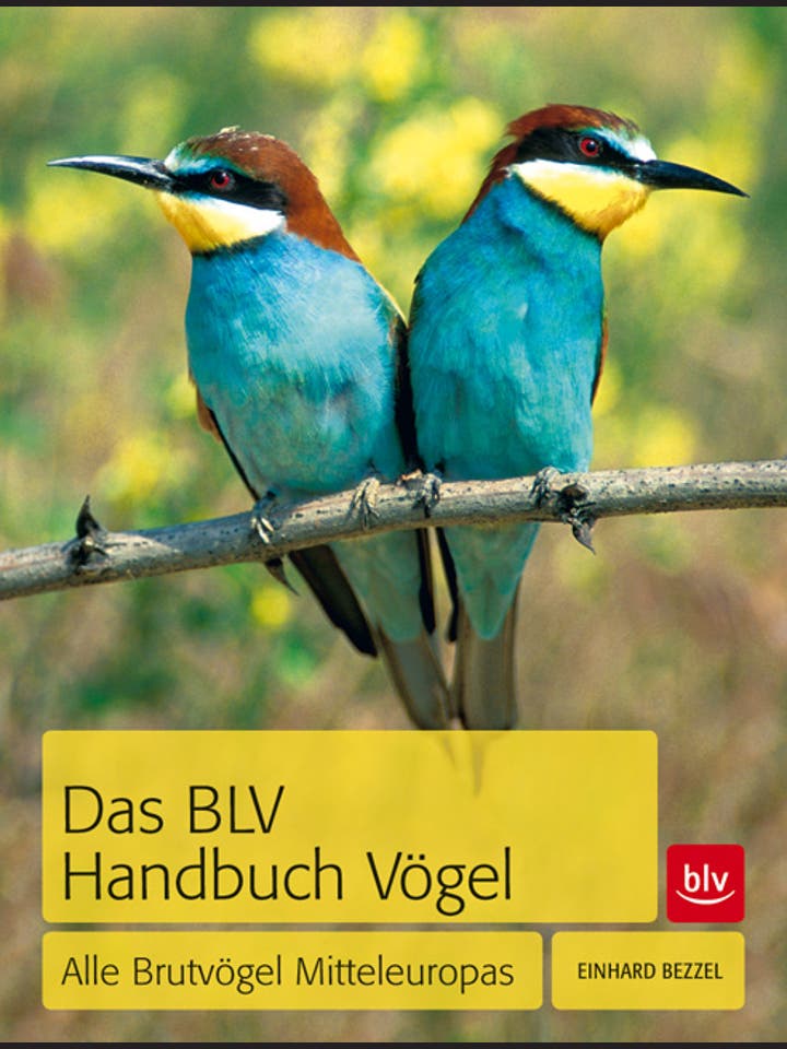 Einhard Bezzel: Das BLV Handbuch Vögel